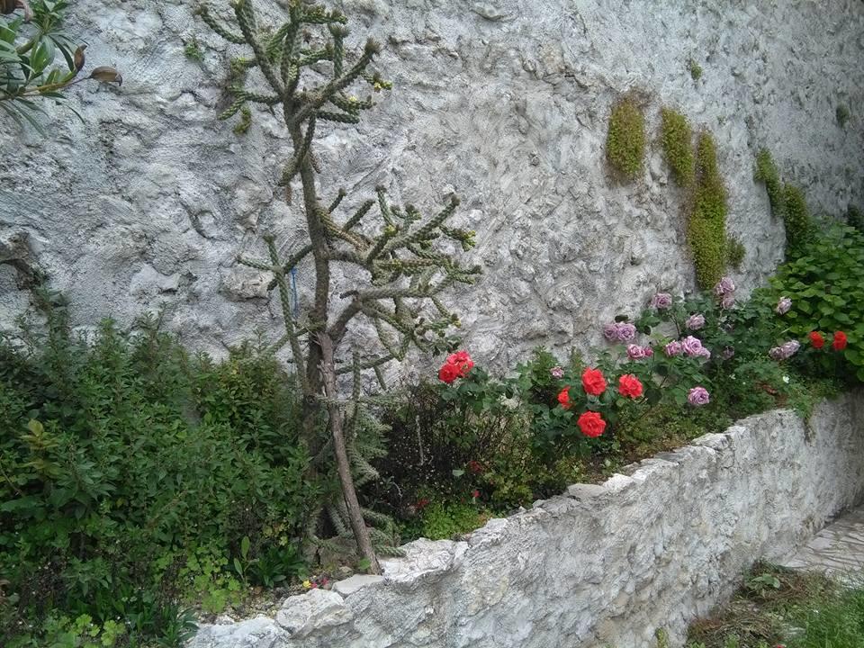 Little Rock Apartments Mostar Exterior foto